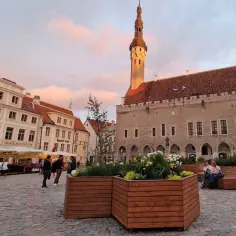 Urokliwy plac w jednym z estońskich miast, z ratuszem i kolorowymi kamienicami.