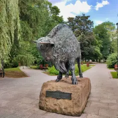 Hajnówka atrakcje turystyczne – odkryj ukryte skarby miasta