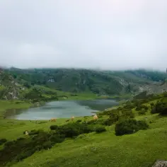 Mgliste góry w Hiszpanii, zielone wzgórza i spokojne jezioro. Kilka krów pasie się na trawie, tworząc sielski krajobraz.