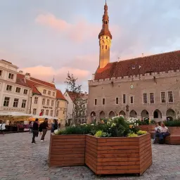 Urokliwy plac w jednym z estońskich miast, z ratuszem i kolorowymi kamienicami.